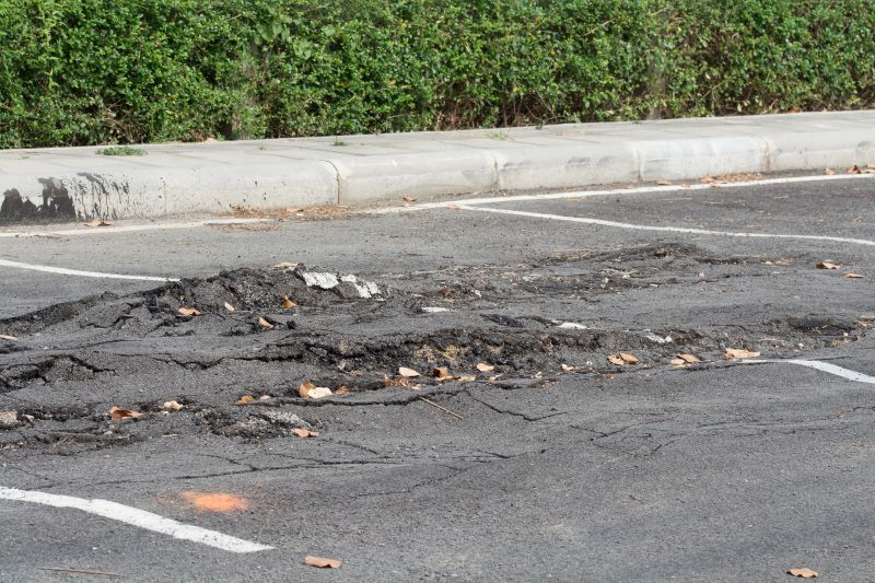 Signs Your Asphalt Surface Needs Professional Repair